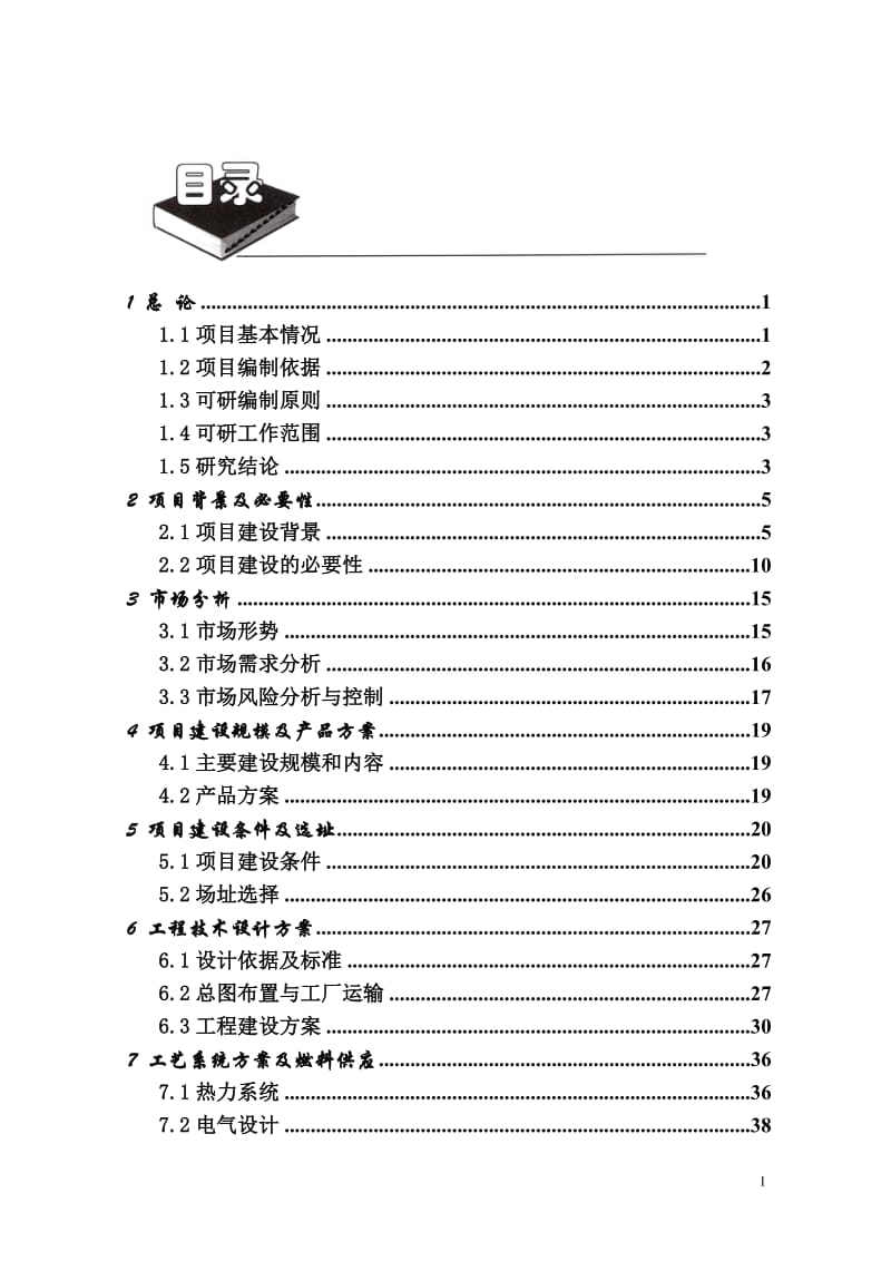 阜阳华美生物质能源发电项目可行性研究报告（2010优秀作品）.doc_第2页