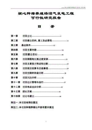 核心种猪养殖场沼气发电工程可行性研究报告.doc