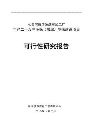 年产二十万吨环保(煤泥)型煤建设项目可行性研究报告42780.doc