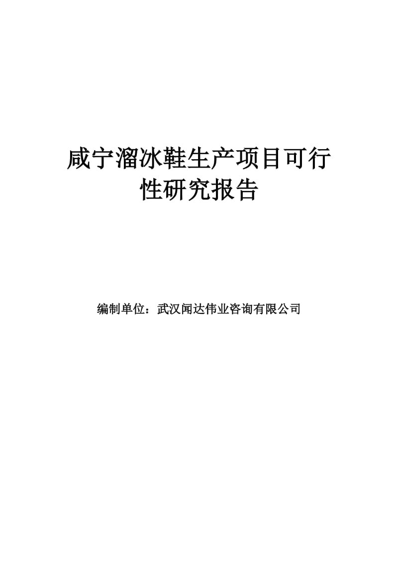 某某溜冰鞋生产项目可行性研究报告.doc_第1页