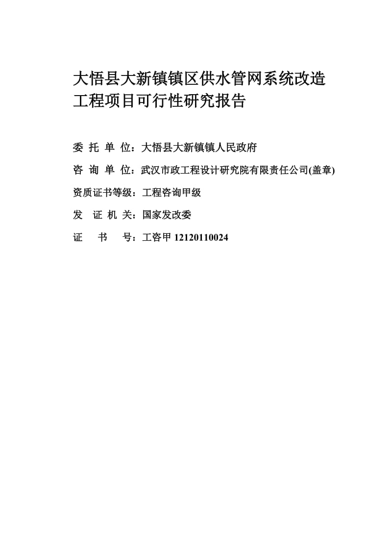 大悟县大新镇镇区供水管网系统改造工程项目可行性研究报告.doc_第2页