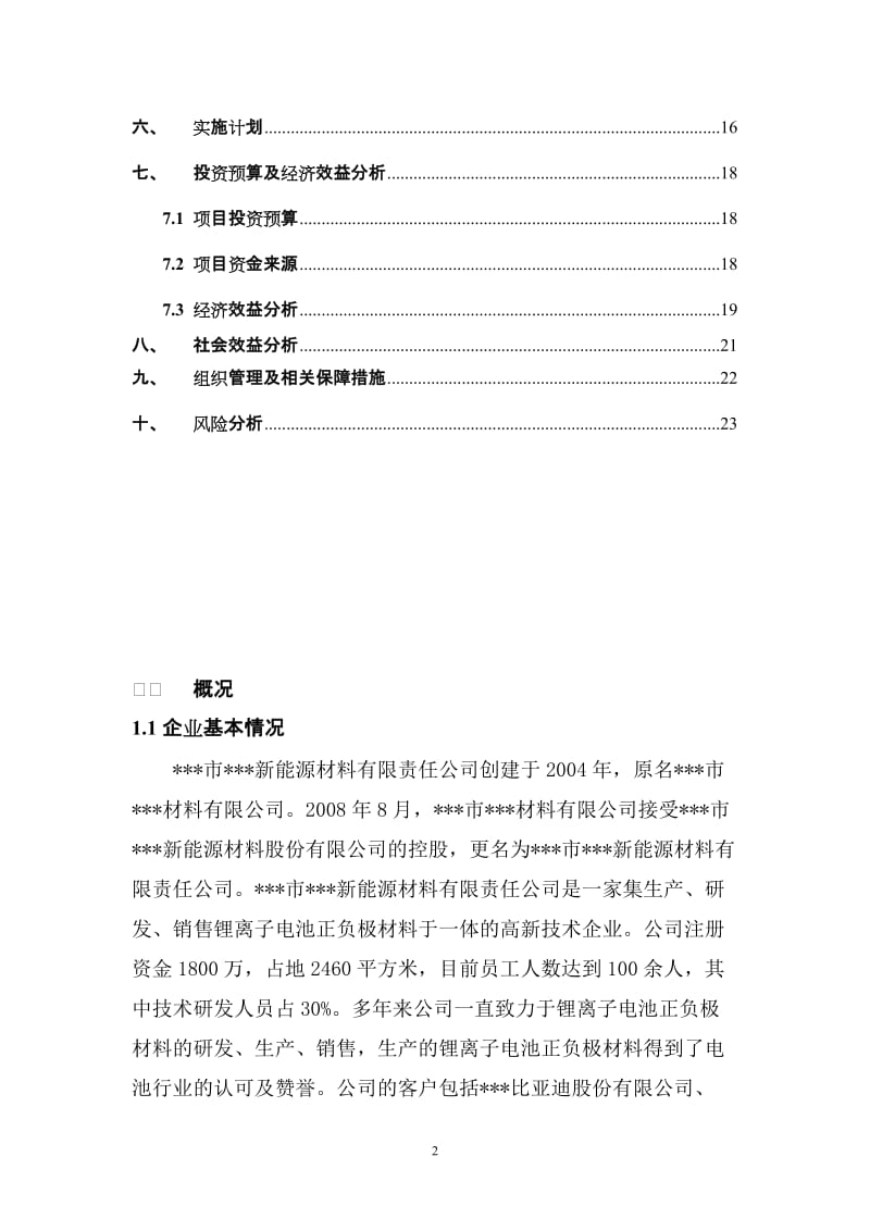 某公司锂离子电池负极材料技改扩能项目可行性研究报告 (4).doc_第2页