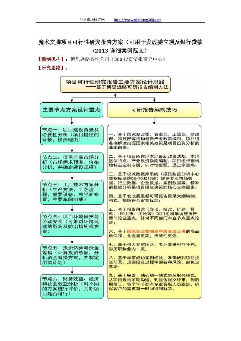 魔术文胸项目可行性研究报告方案(可用于发改委立项及银行贷款 2013详细案例范文).docx_第1页