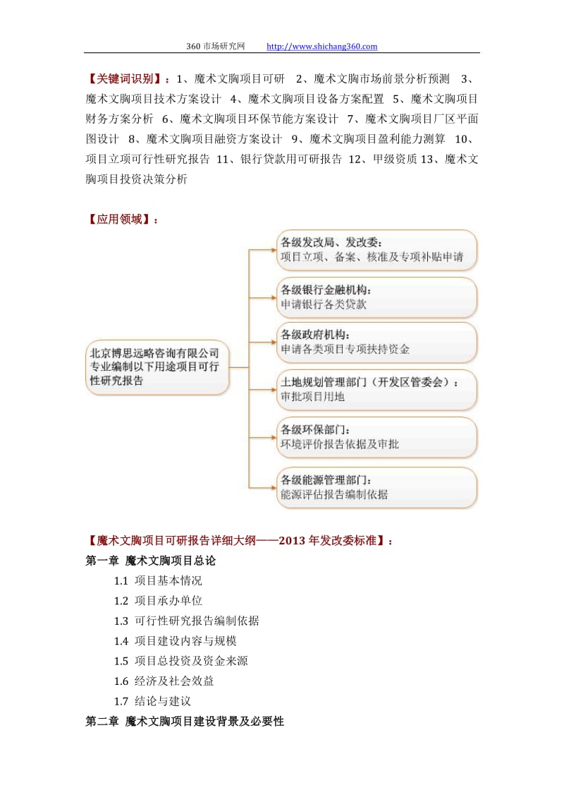 魔术文胸项目可行性研究报告方案(可用于发改委立项及银行贷款 2013详细案例范文).docx_第2页