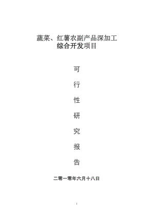 年产3200吨蔬菜、36000吨红薯农副产吕深加工综合开发项目可行性研究报告.doc