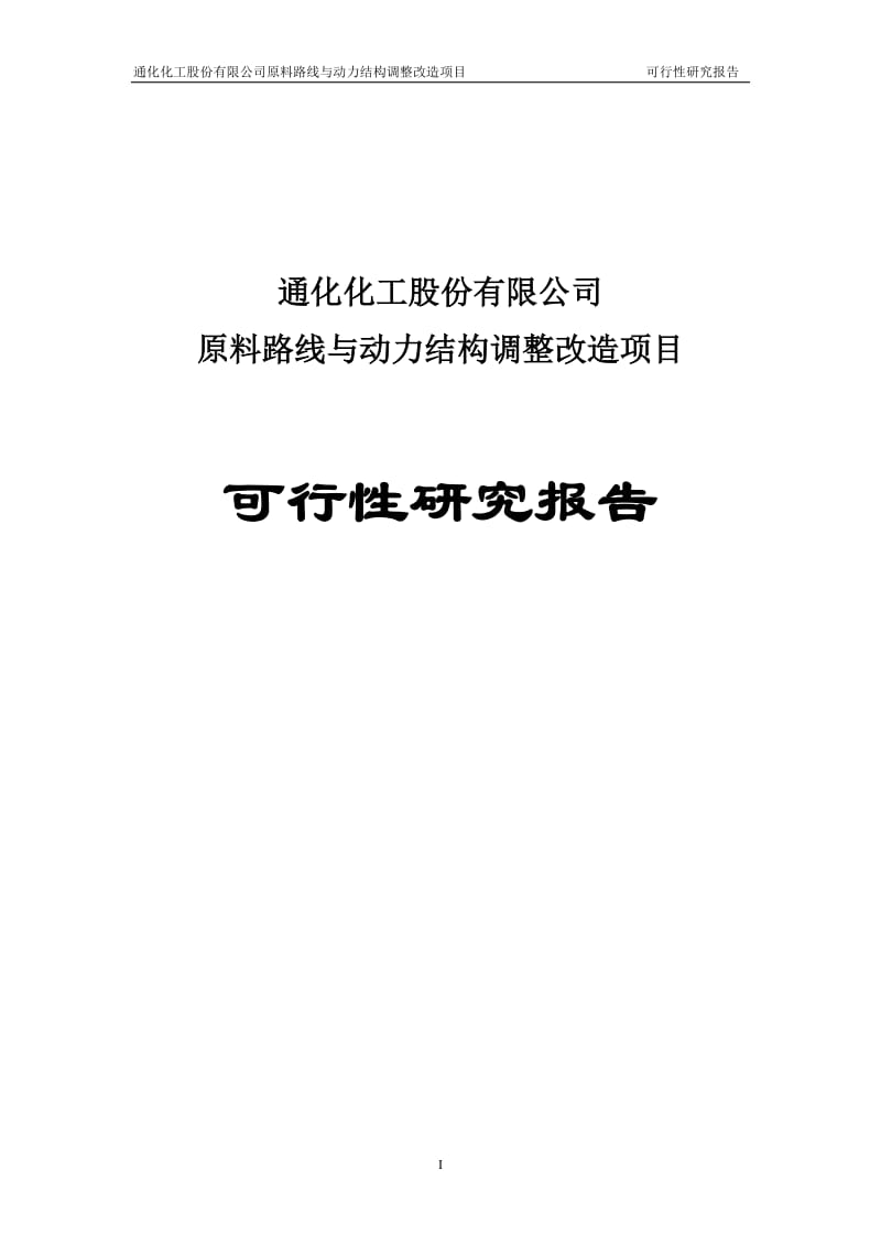 原料路线与动力结构调整改造项目可行性研究报告.doc_第1页