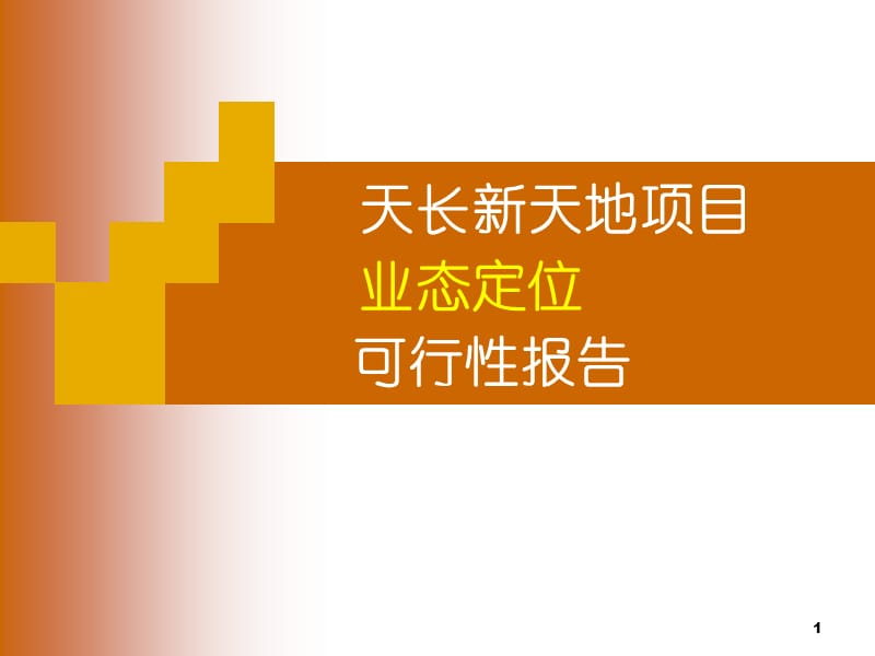 滁州天长新天地项目业态定位可行性研究报告（40页） .ppt_第1页