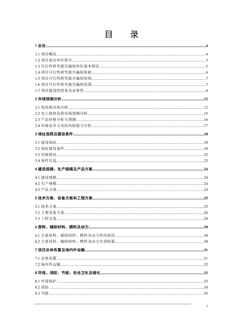 高温电工级氧化镁项目可行性研究报告 (2).doc_第1页