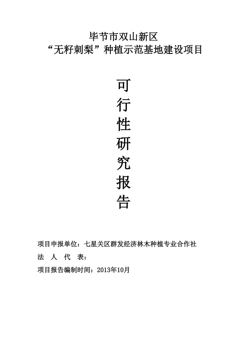 毕节双山新区无籽刺梨种植示范基地建设项目可行性研究报告 (2).doc_第1页