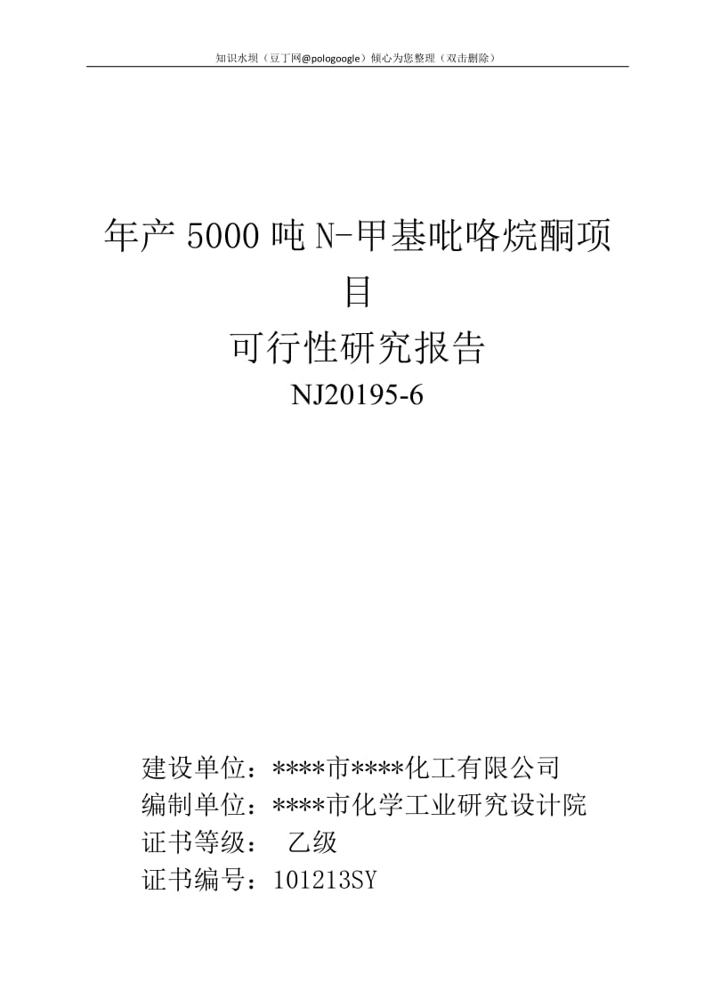 年产5000吨N-甲基吡咯烷酮项目可行性研究报告 (2).doc_第1页