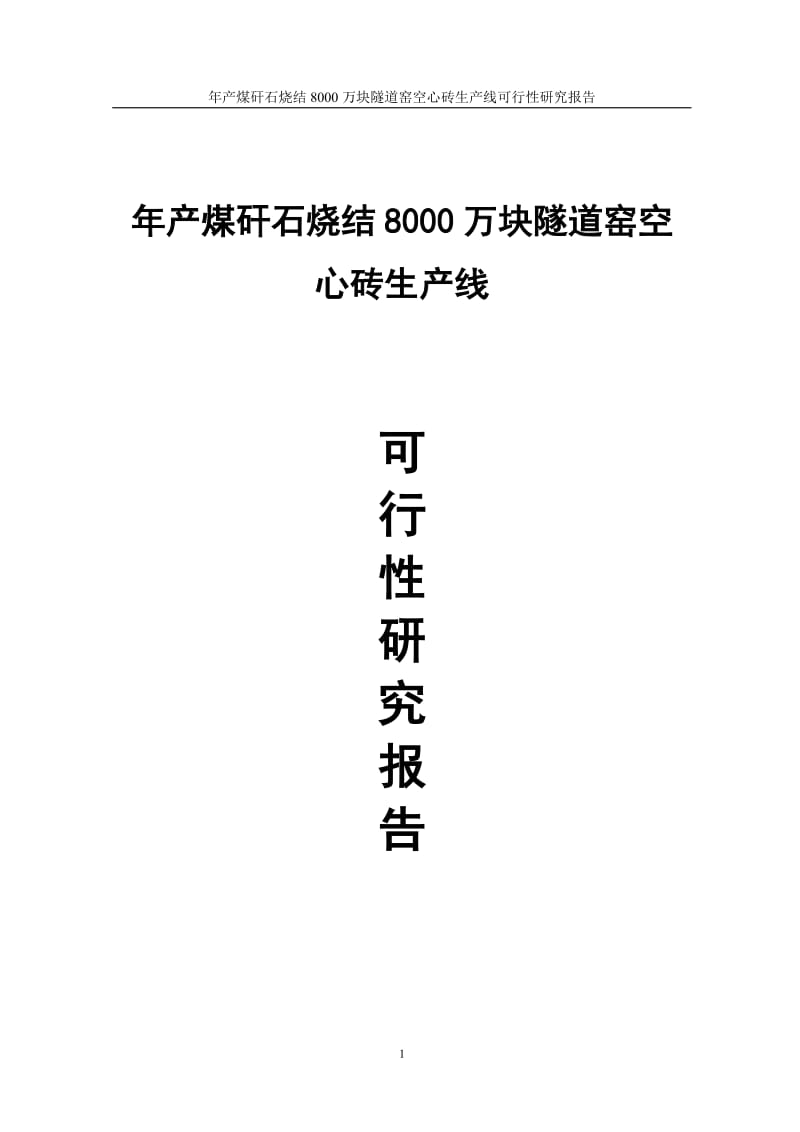 年产煤矸石烧结8000万块隧道窑空心砖生产线可行性研究报告 (2).doc_第1页