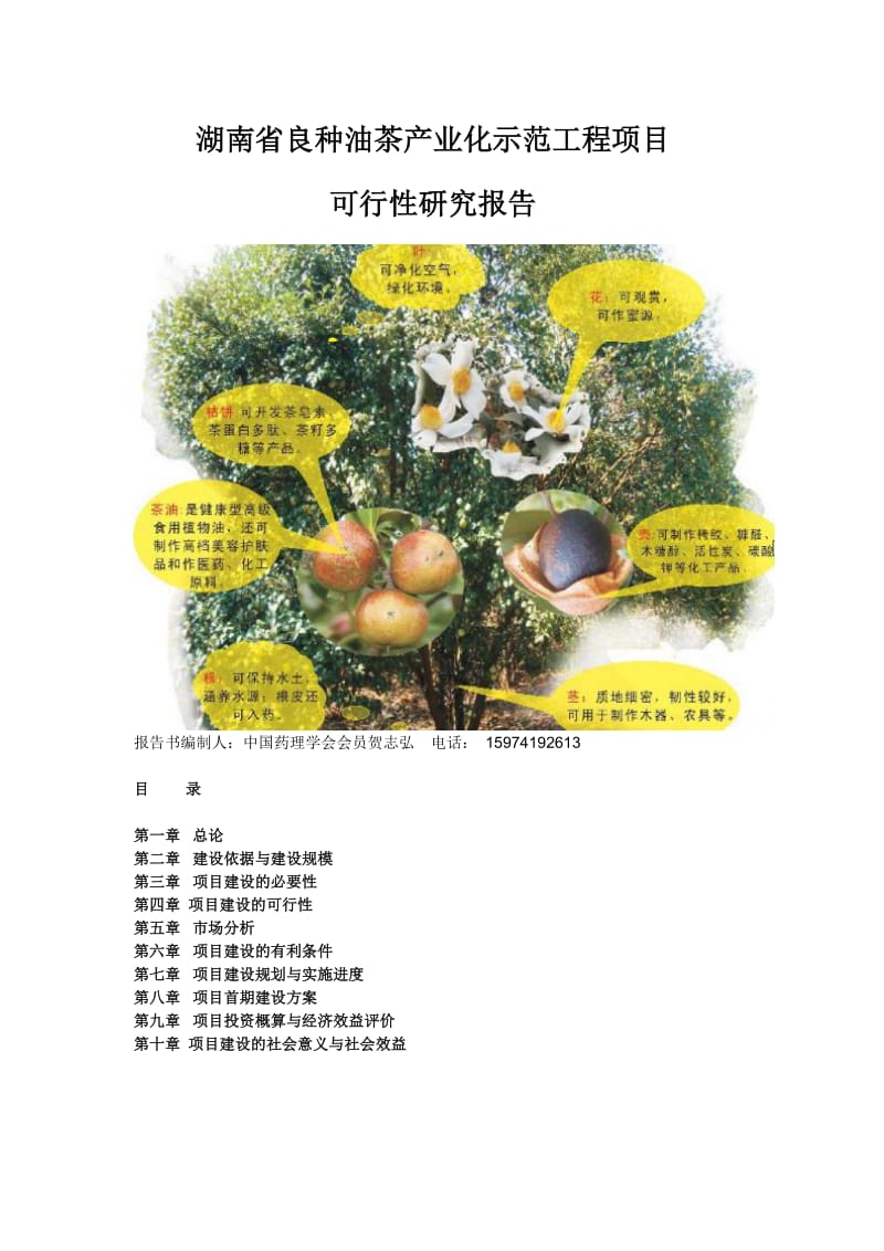 湖南省良种油茶产业化示范工程项目可行性研究报告1.doc_第1页