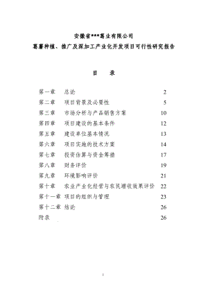 葛薯种植、推广及深加工产业化开发项目可行性研究报告.pdf