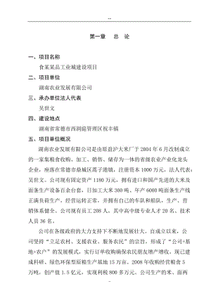 某某食品工业城建设项目可行性研究报告 (8).doc