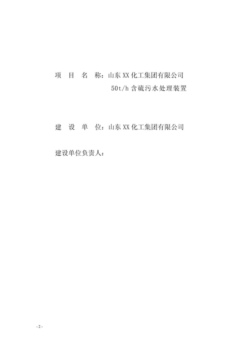 山东XX化工集团有限公司50th含硫污水处理装置可行性研究报告.pdf_第2页