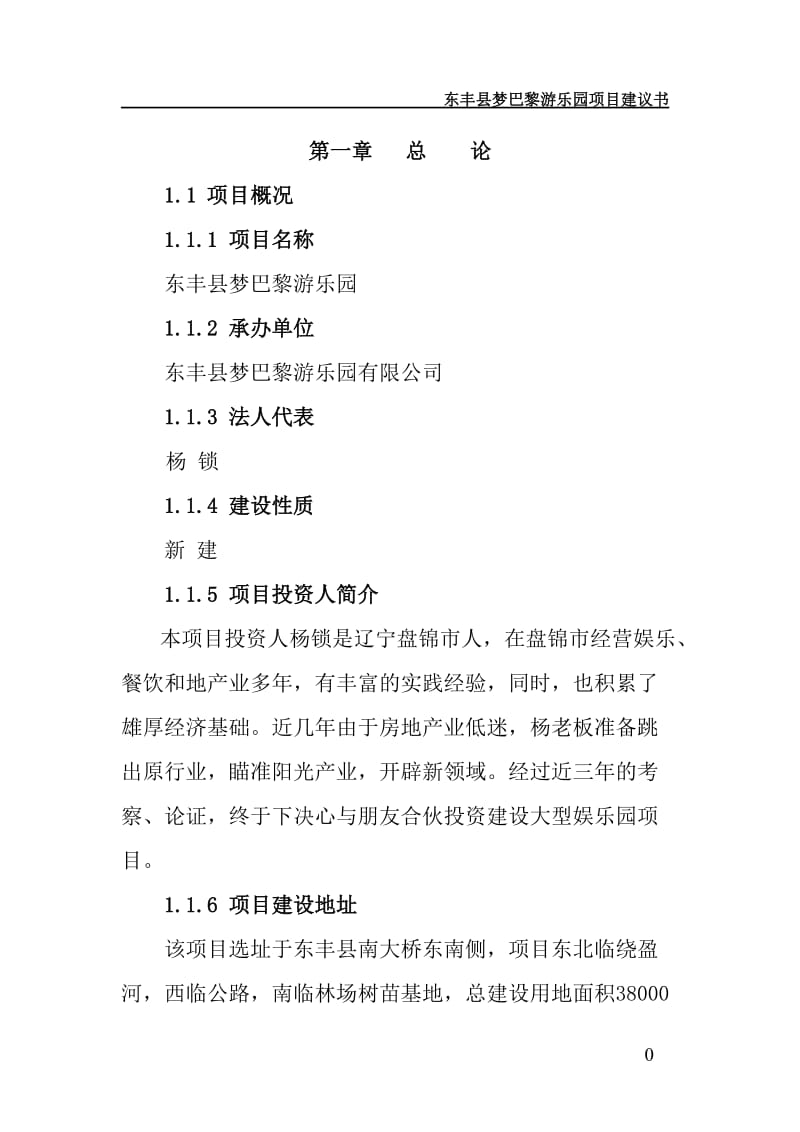 东丰县梦巴黎游乐园项目可行性研究报告.doc_第1页