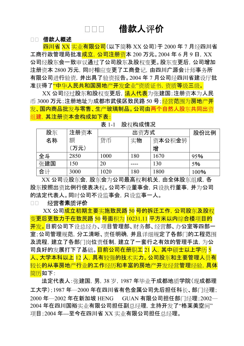 四川省某实业有限公司可行性研究报告分析.doc_第1页