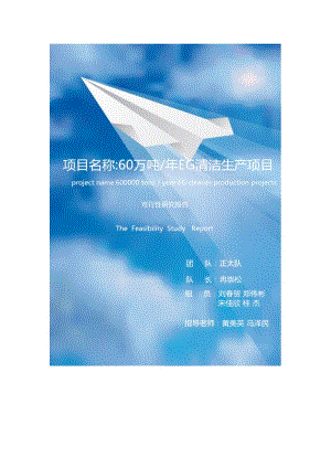 60万吨年EG清洁生产项目可行性研究报告.doc
