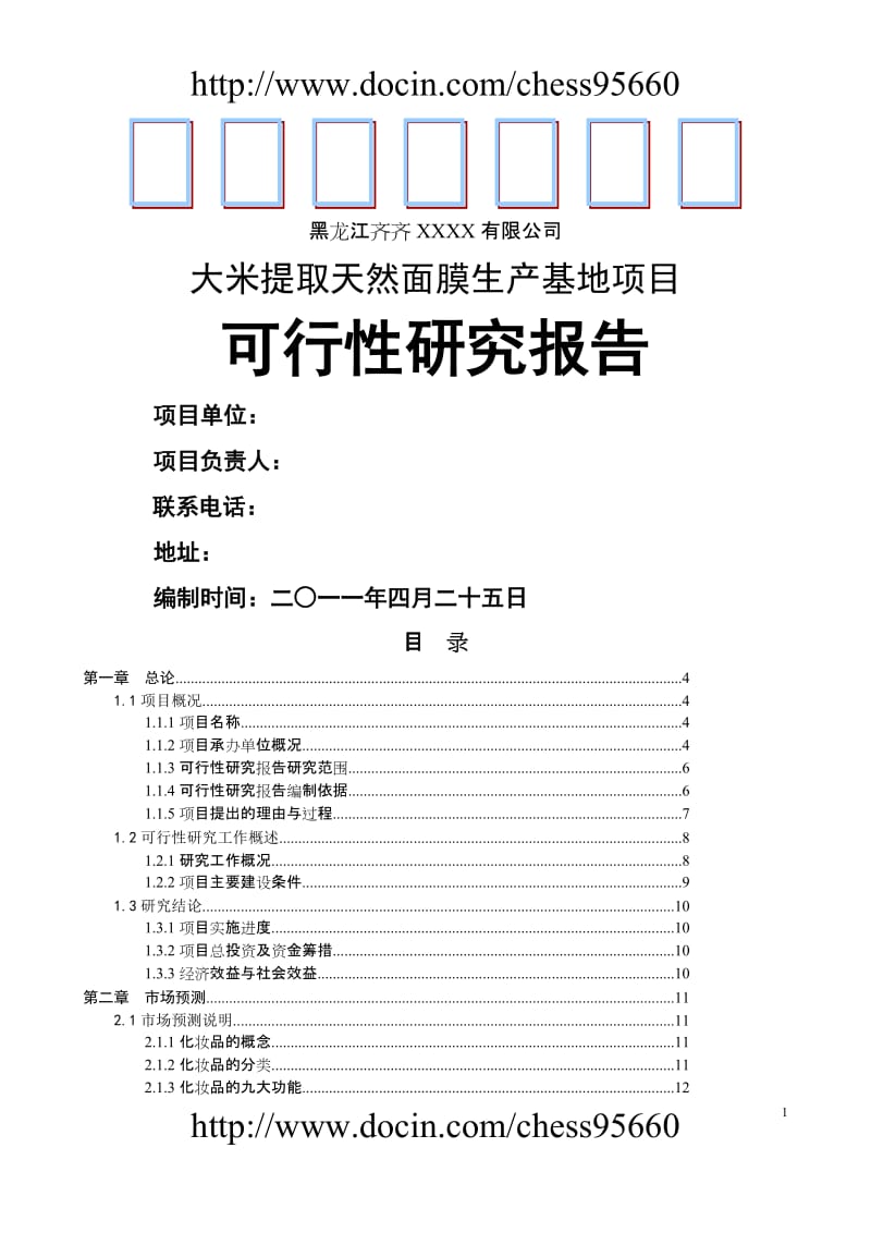 齐齐哈尔大米面膜项目可行性研究 (2).doc_第1页