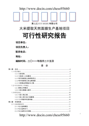 齐齐哈尔大米面膜项目可行性研究 (2).doc