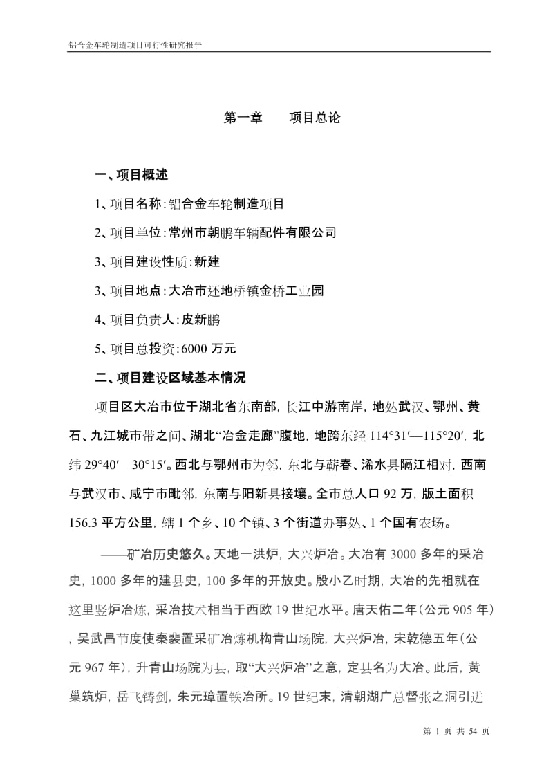 铝合金车轮项目可行性研究报告.doc_第1页