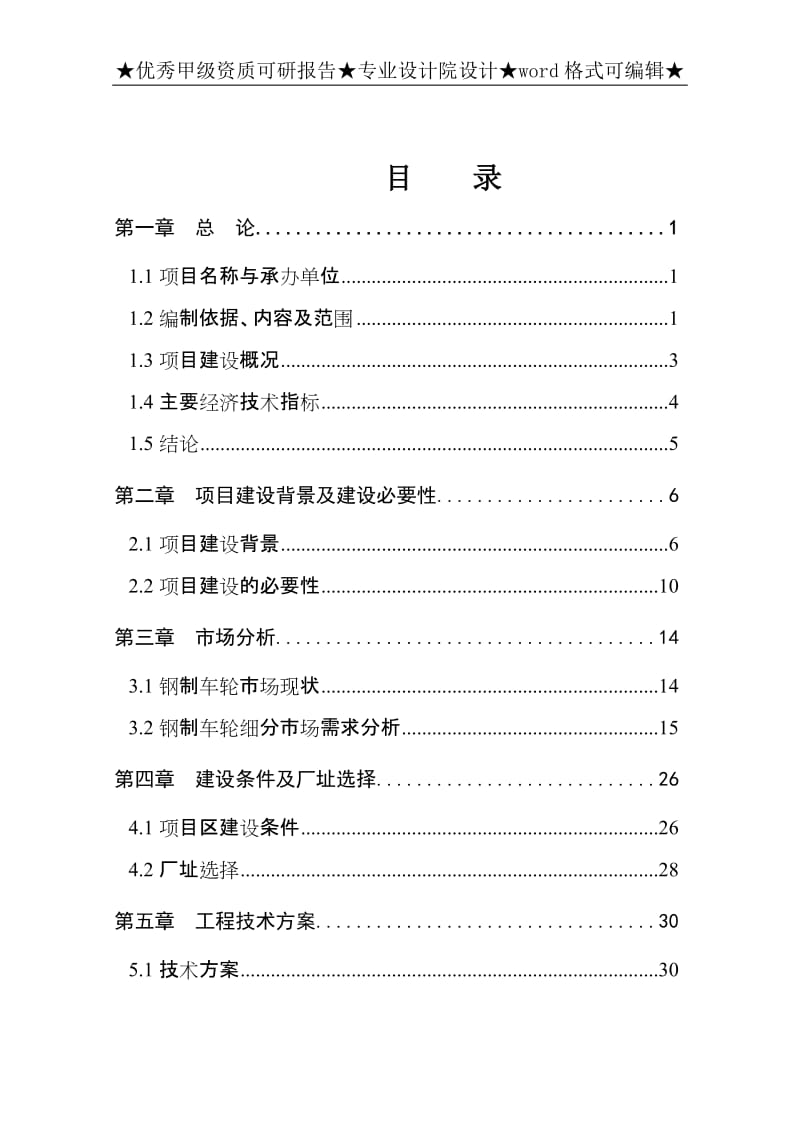 高强度型钢无内胎汽车车轮项目可行性研究报告.doc_第1页