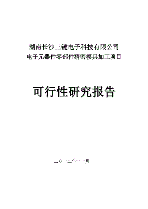 湖南长沙三键电子科技有限公司电子元器件零部件精密模具加工项目可行性研究报告.doc