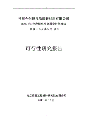 8000吨项目可行性研究报告.doc