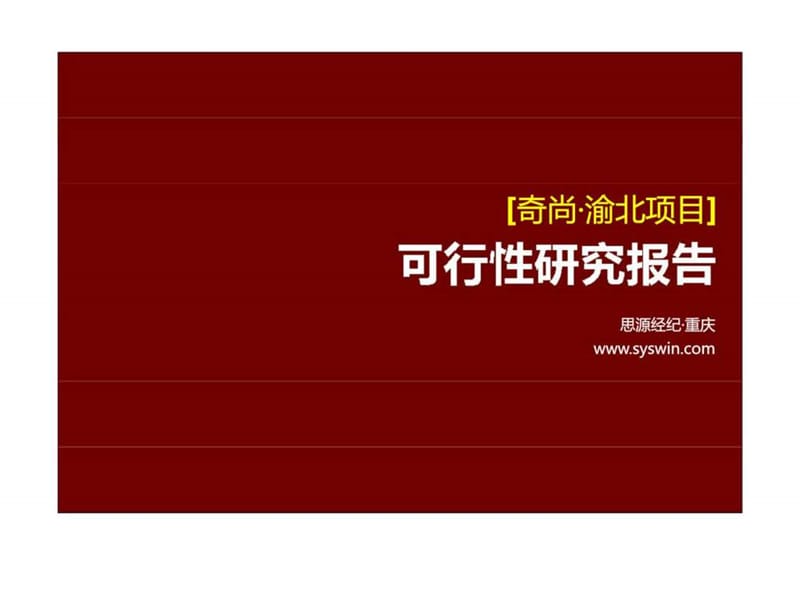 2010思源+重庆奇尚可行性研究报告.ppt_第1页