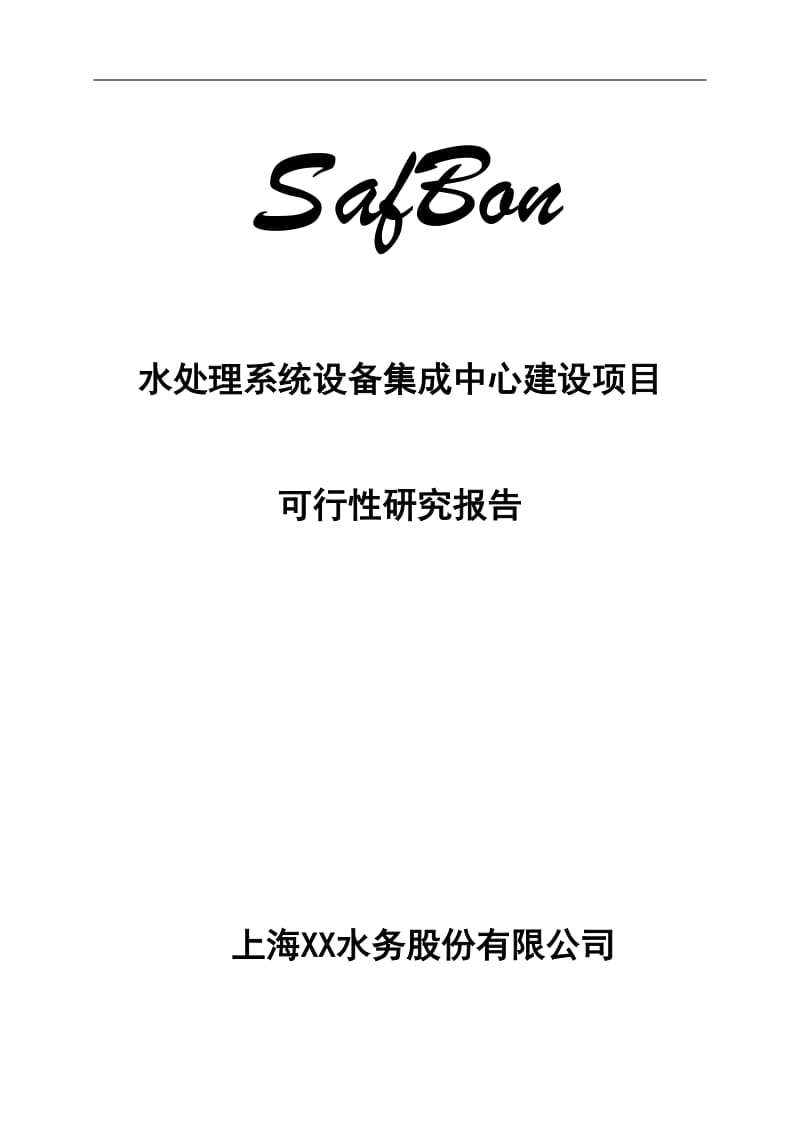 SafBon水处理系统设备集成中心建设项目可行性研究报告.doc_第1页