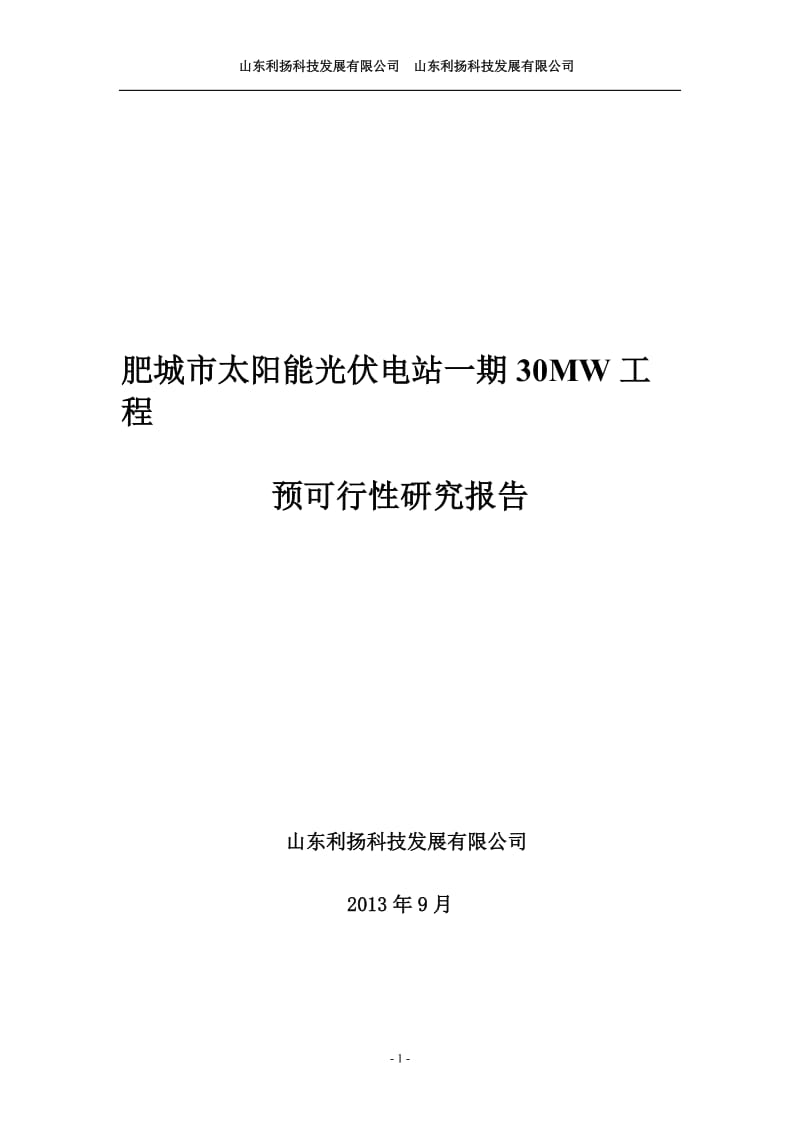 肥城市一期30MW工程预可行性研究报告.doc_第1页