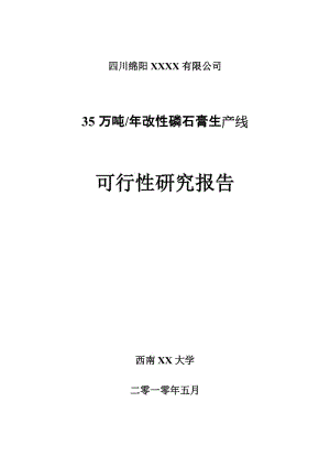 绵阳xx科技有限公司35万吨年改性磷石膏生产线可行性研究报告18838.doc