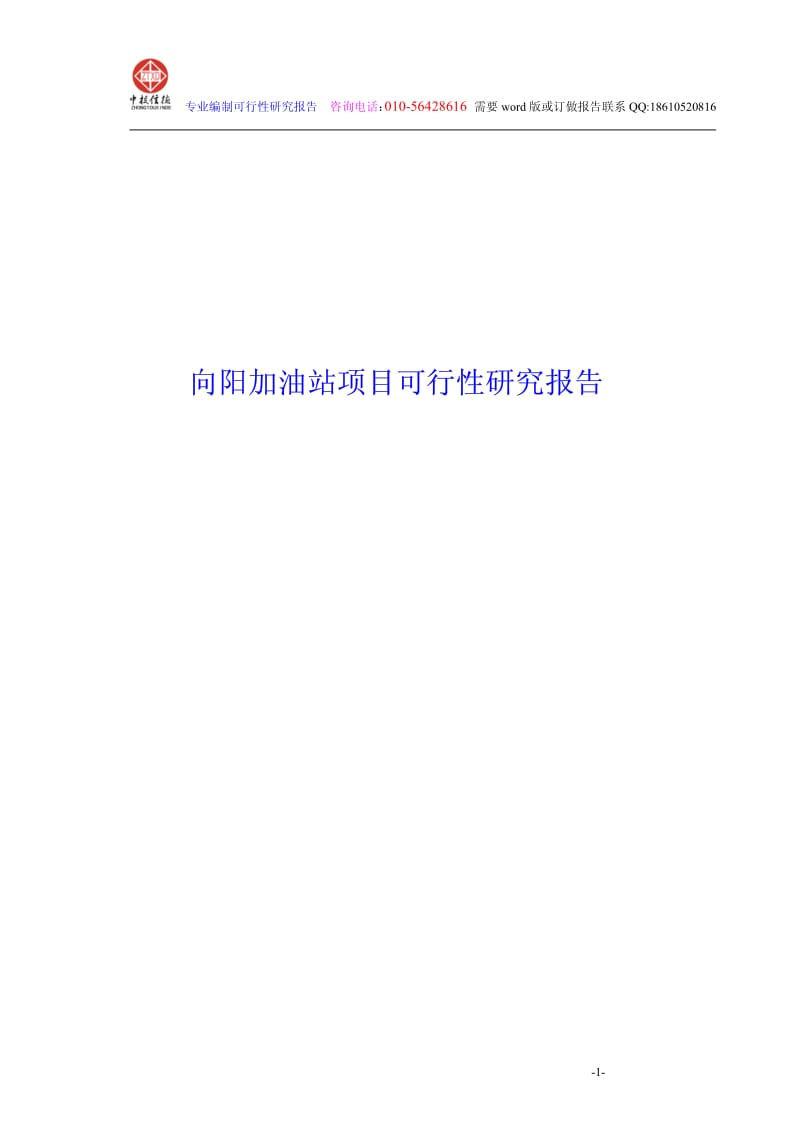 向阳加油站项目可行性研究报告范本.pdf_第1页