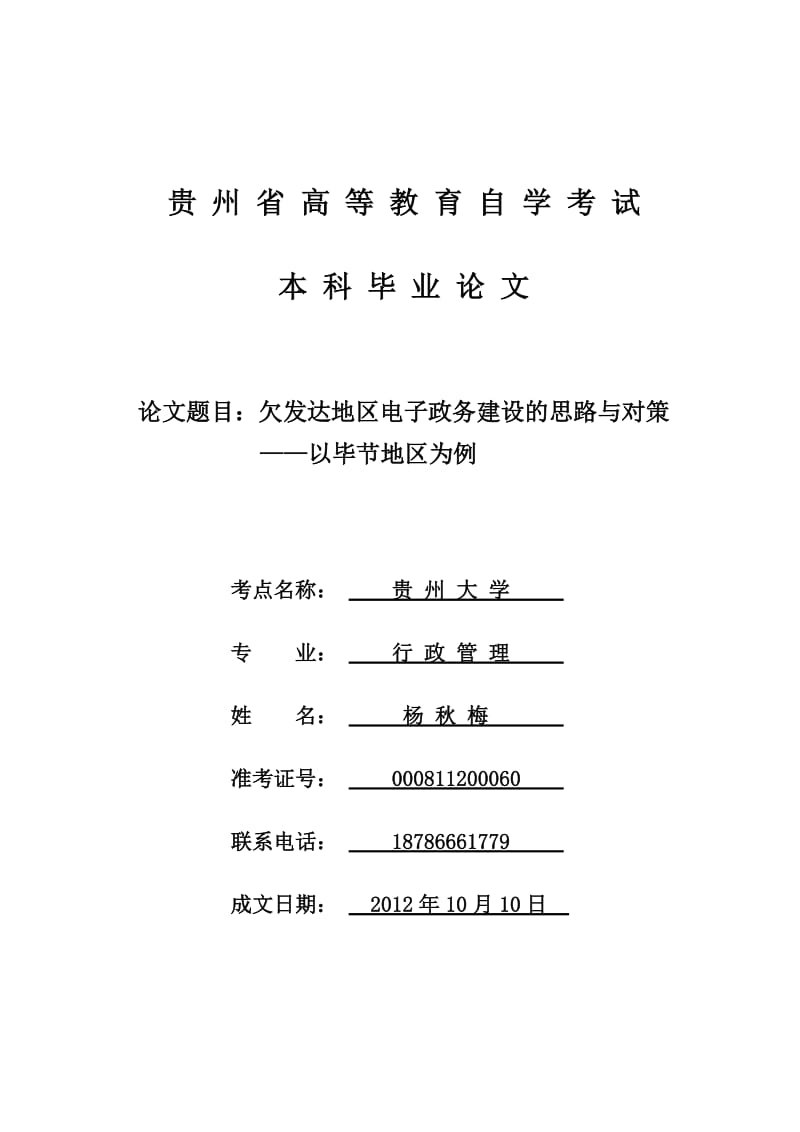 欠发达地区电子政务建设的思路与对策_毕业论文.doc_第1页