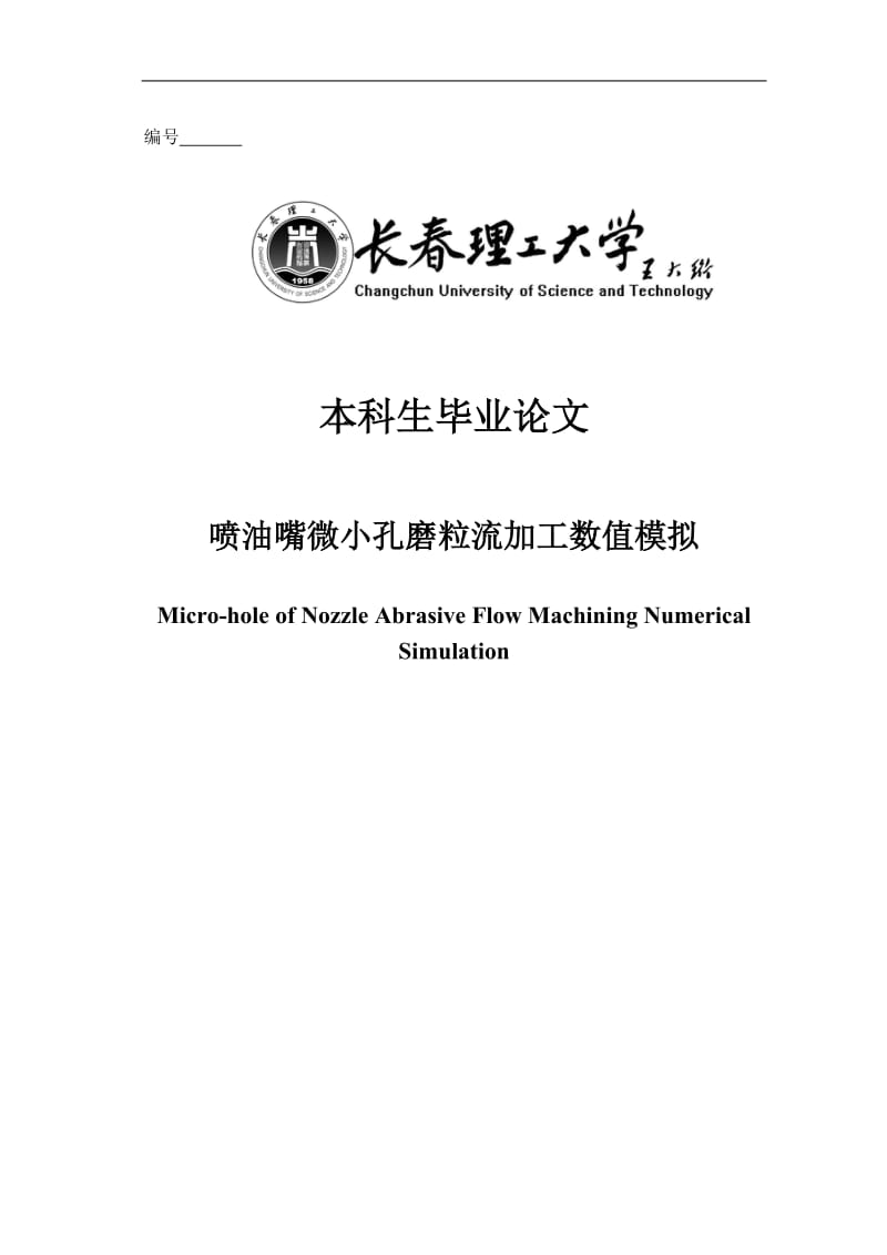 喷油嘴微小孔磨流流加工数值毕业论文毕业设计.doc_第1页