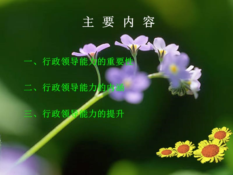 行政领导能力的提升.ppt_第2页