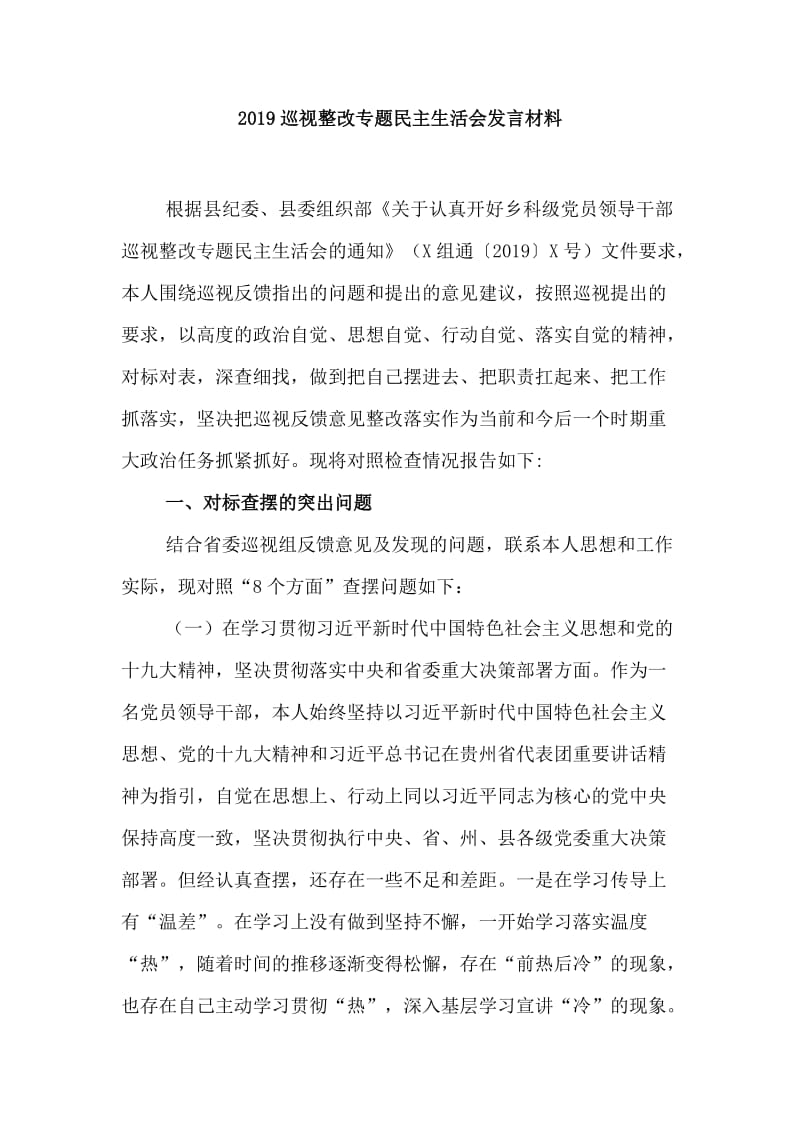 2019巡视整改专题组织生活会发言材料.doc_第1页