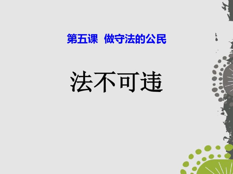 《法不可违》PPT(共23张PPT).pdf_第1页