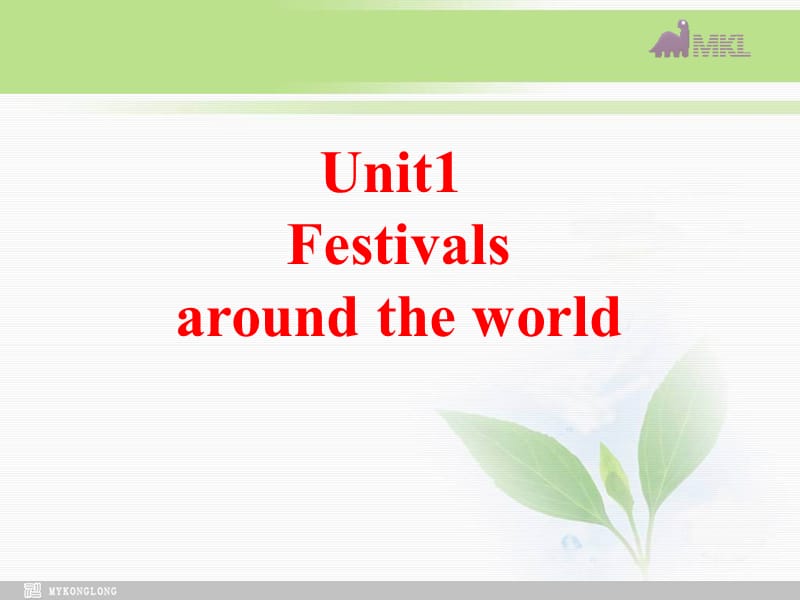 必修三 1.5《 Unit 1 Festivals around the world》（共66页）课件 新人教版必修3.ppt_第2页