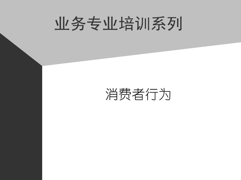 业务专业培训系列[消费者行为].ppt_第1页