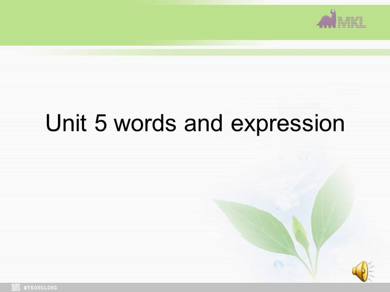 选修九 5.4《Unit 5　words and expression》.ppt_第2页