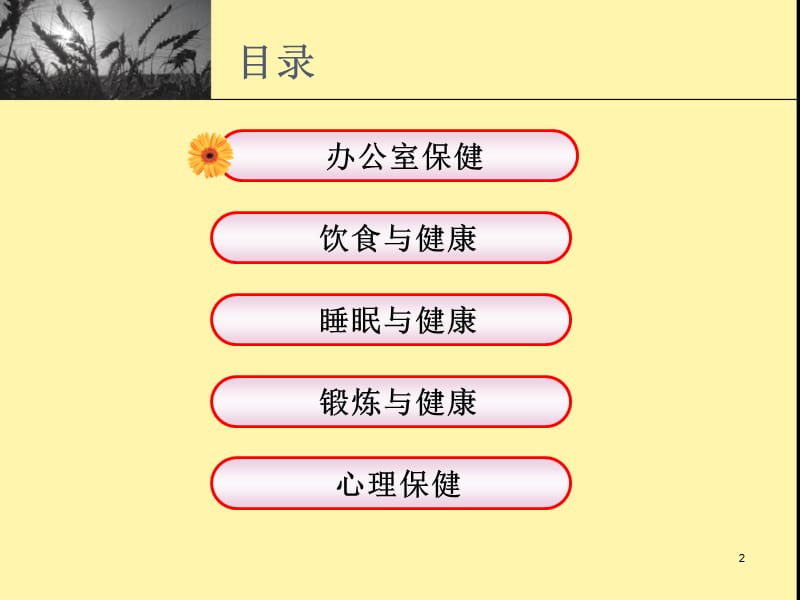 办公室员工健康指南.ppt_第2页