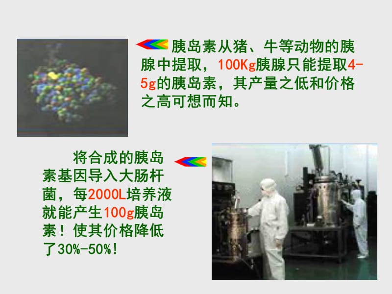 基因工程及其应用.ppt_第1页