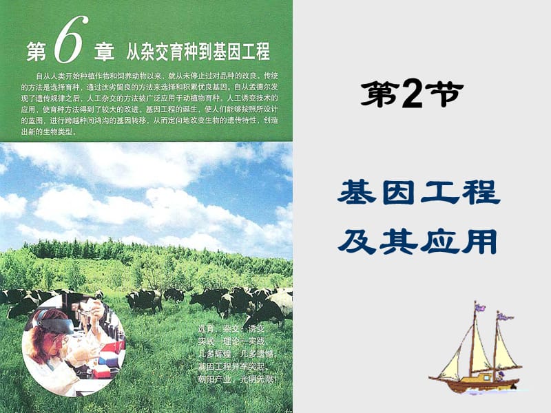 基因工程及其应用.ppt_第2页