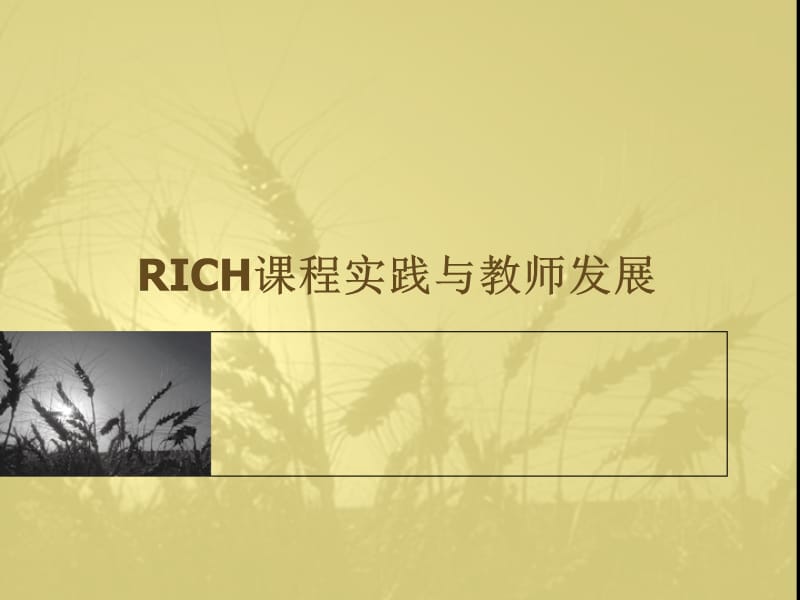 RICH课程实践与教师发展.ppt_第1页