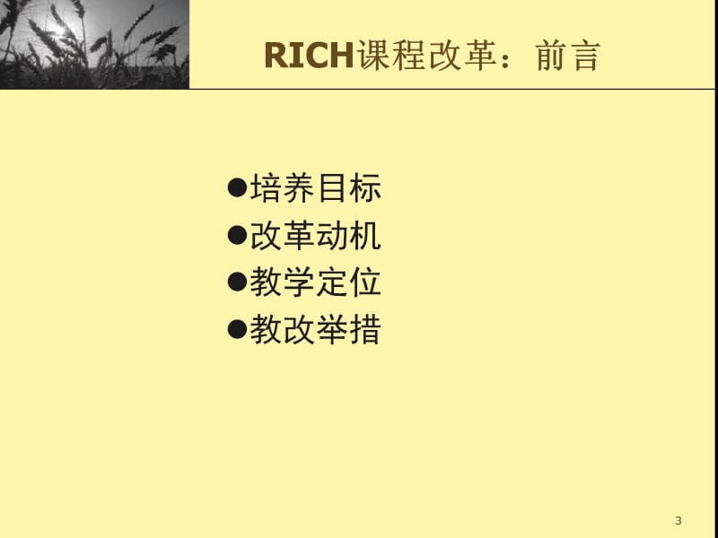 RICH课程实践与教师发展.ppt_第3页