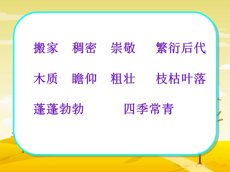 宋庆龄故居的樟树.ppt_第3页