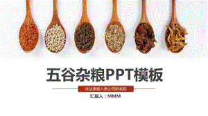 五谷杂粮土特产农产品生态食品PPT模板.pptx