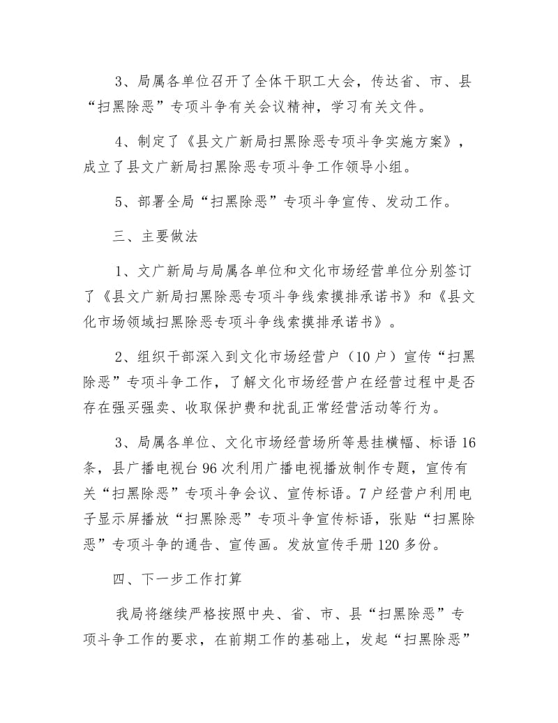 扫黑除恶专项斗争半年总结.docx_第2页