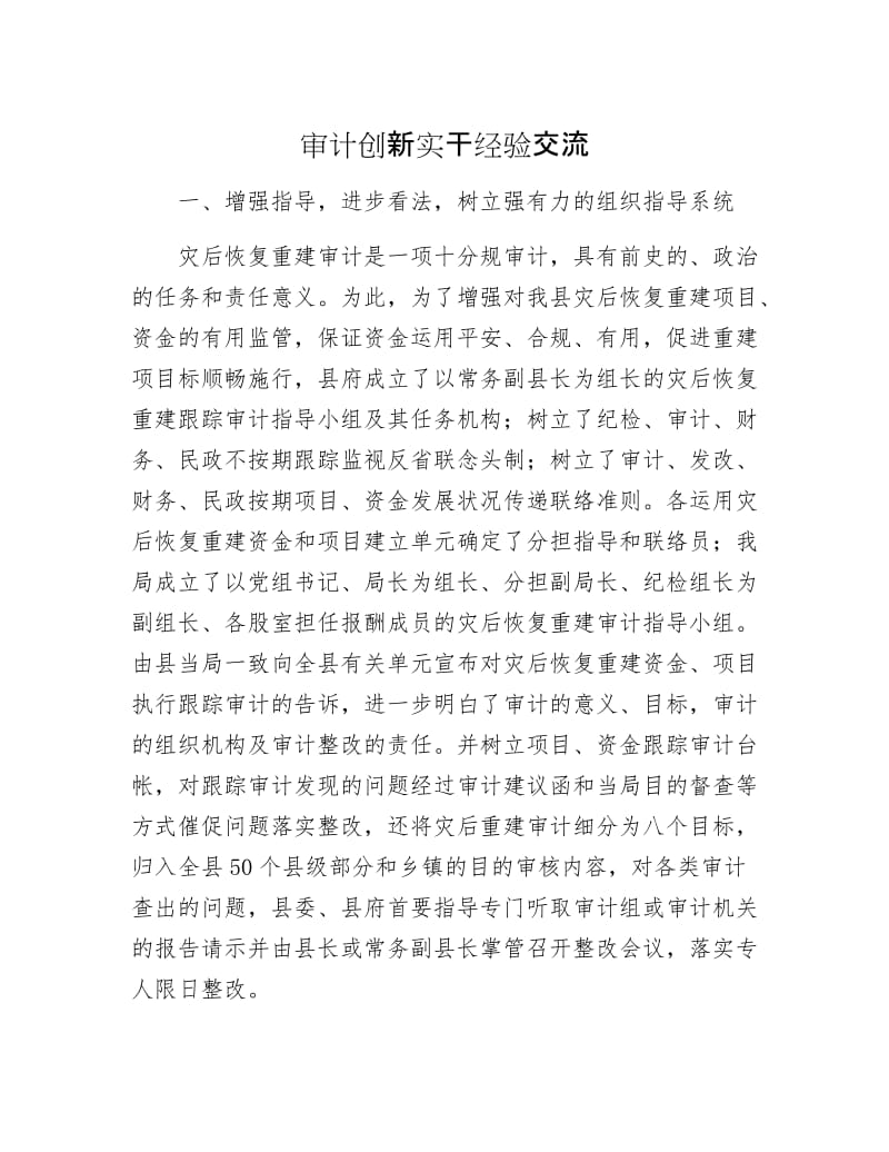 审计创新实干经验交流.docx_第1页